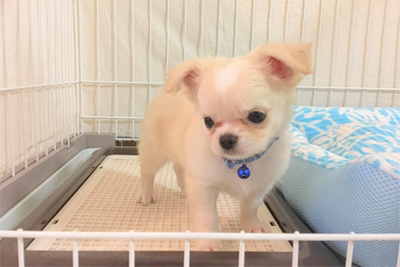 １０２号室　【HOKU〜ホク〜】