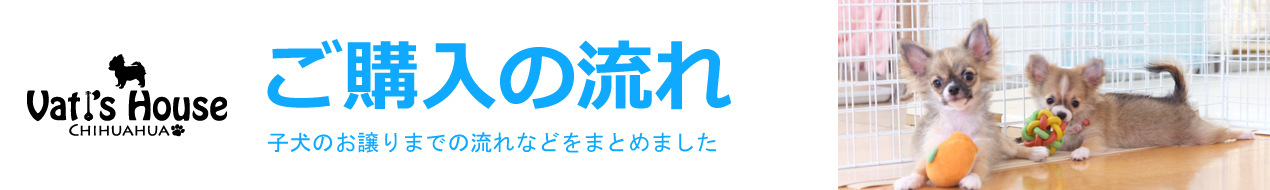 ご購入の流れ