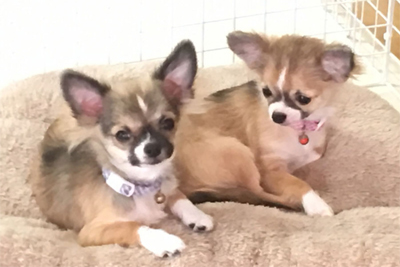 202号室 【LEO〜レオ〜】 202号室 【LEO〜レオ〜】