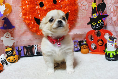 １０３号室　【LEA〜レア〜】