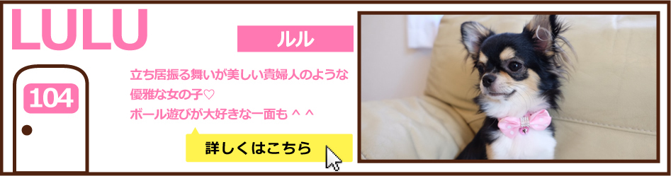 104号室ルル