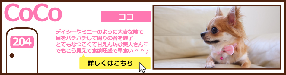 204号室ココ