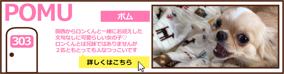 303号室ポム