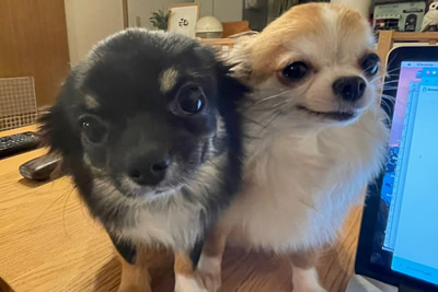 ３０１号室　【KOH〜コオ〜】