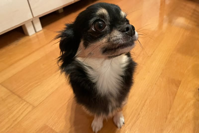 ３０４号室　【PURIN〜プリン〜】