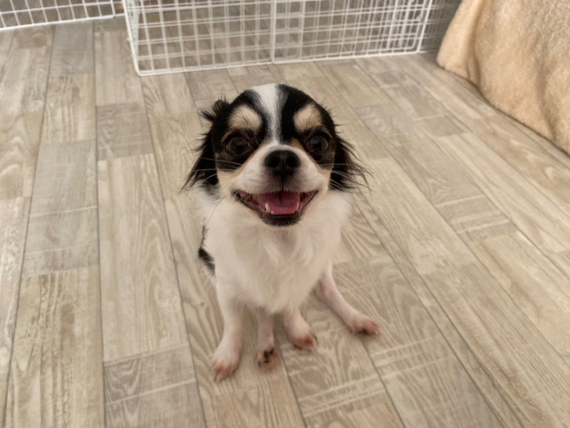 ５０４号室　【HOKU〜ホク〜】