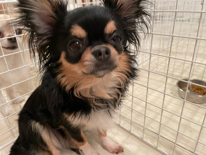 ６０４号室　【LINLIN〜リンリン〜】