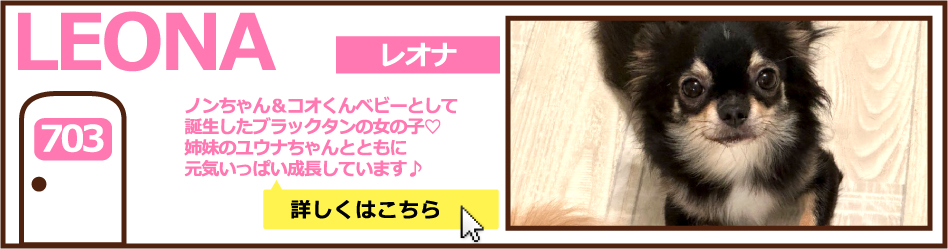 703号室レオナ