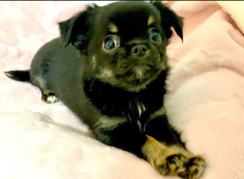 ７０４号室　【HIYORI〜ひより〜】