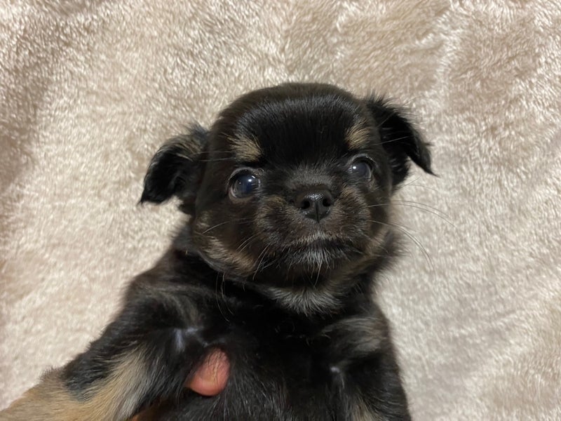 ８０４号室　【NUTS〜なっつ〜】