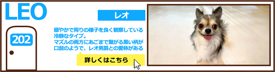 202号室レオ