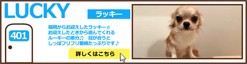401号室ラッキー