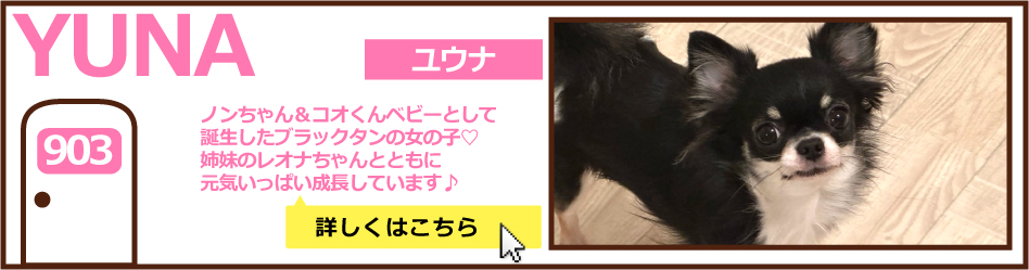903号室ユウナ