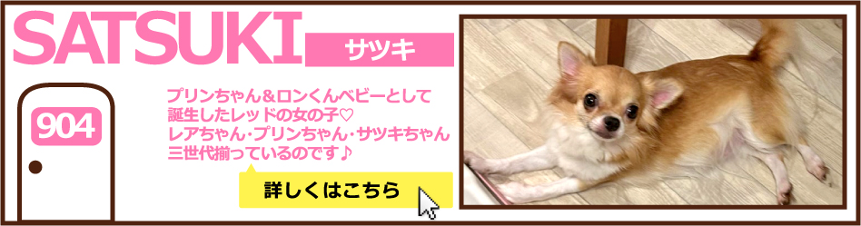 904号室サツキ