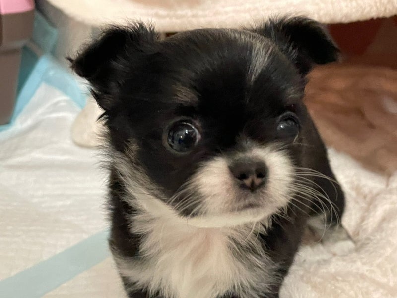 ９０３号室　【YUNA〜ユウナ〜】