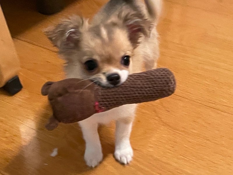 ９０４号室　【SATSUKI〜サツキ〜】