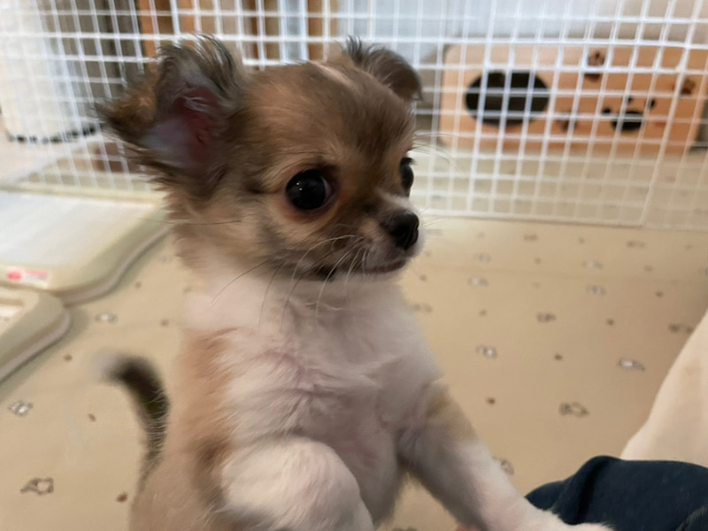 ９０４号室　【SATSUKI〜サツキ〜】