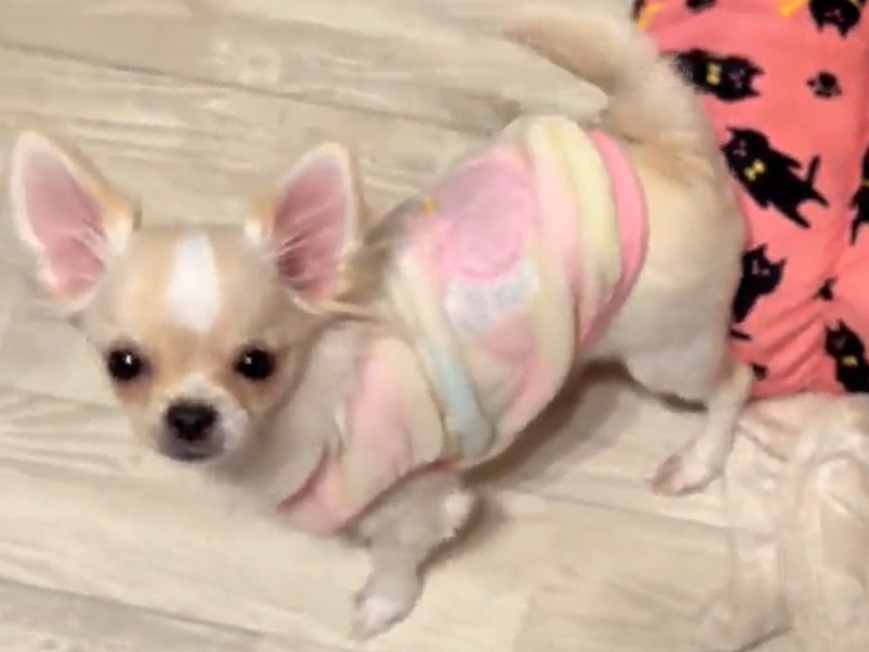 １００３号室　【YUME〜〜ゆめ〜】