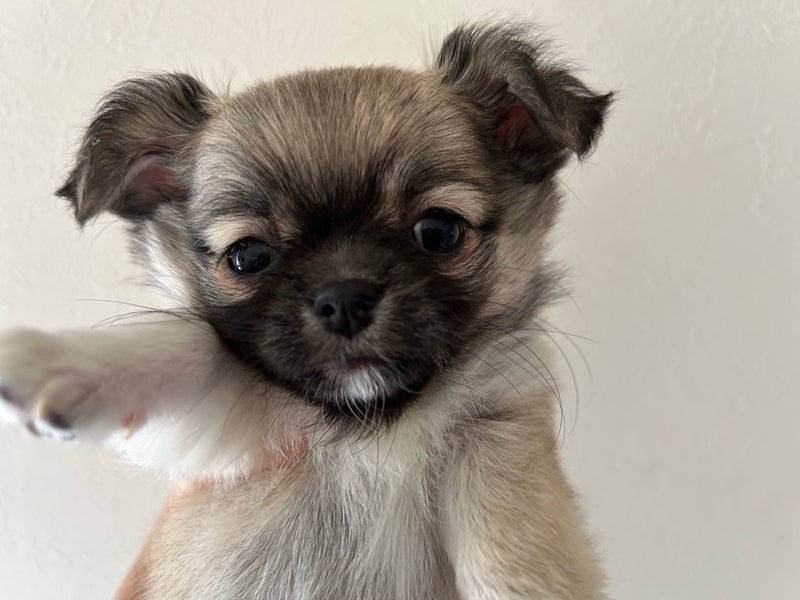 １１０３号室　【MIROKU〜〜みろく〜】