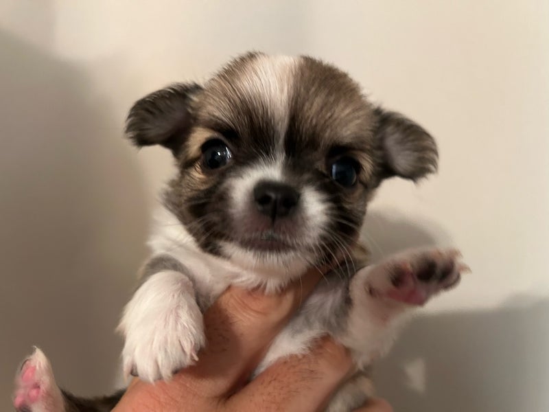 １００４号室　【MIKOTO〜〜みこと〜】